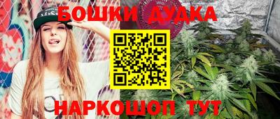 mdpv Лесосибирск